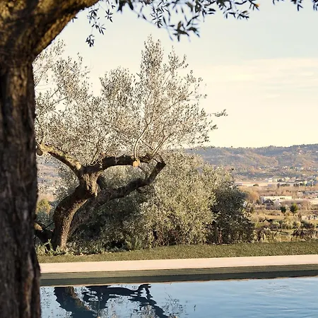 Villa Casa Oliveto *