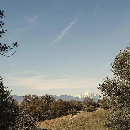 Casa Oliveto Spoltore