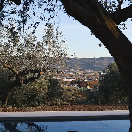 Casa Oliveto Villa