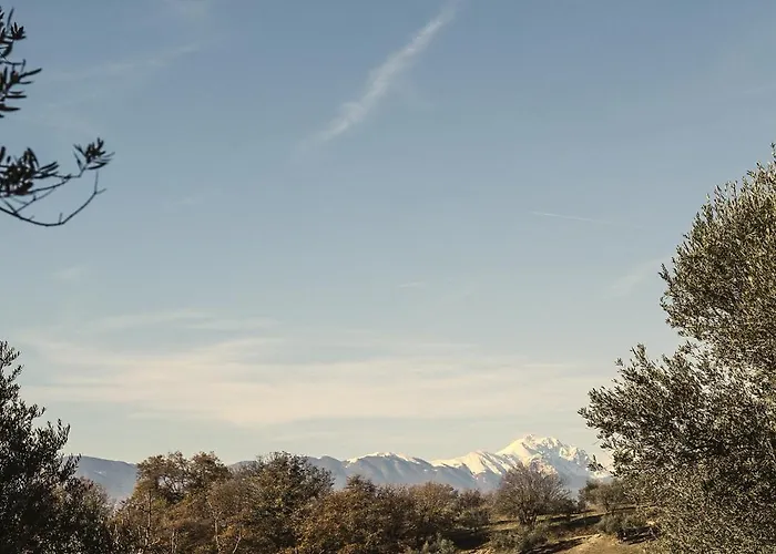 Casa Oliveto Spoltore